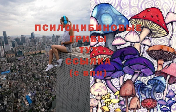 эйфоретик Алексин